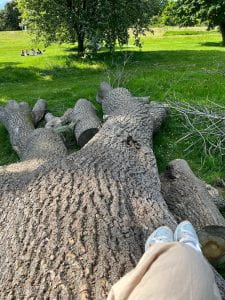 A photo of Yalin's feet resting on a log in a city park.